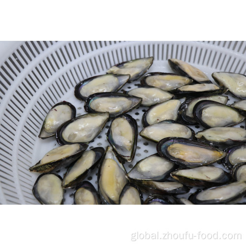 Frozen Mussel Meat Frozen Half Shell Mussel High quality frozen half shell mussel Manufactory